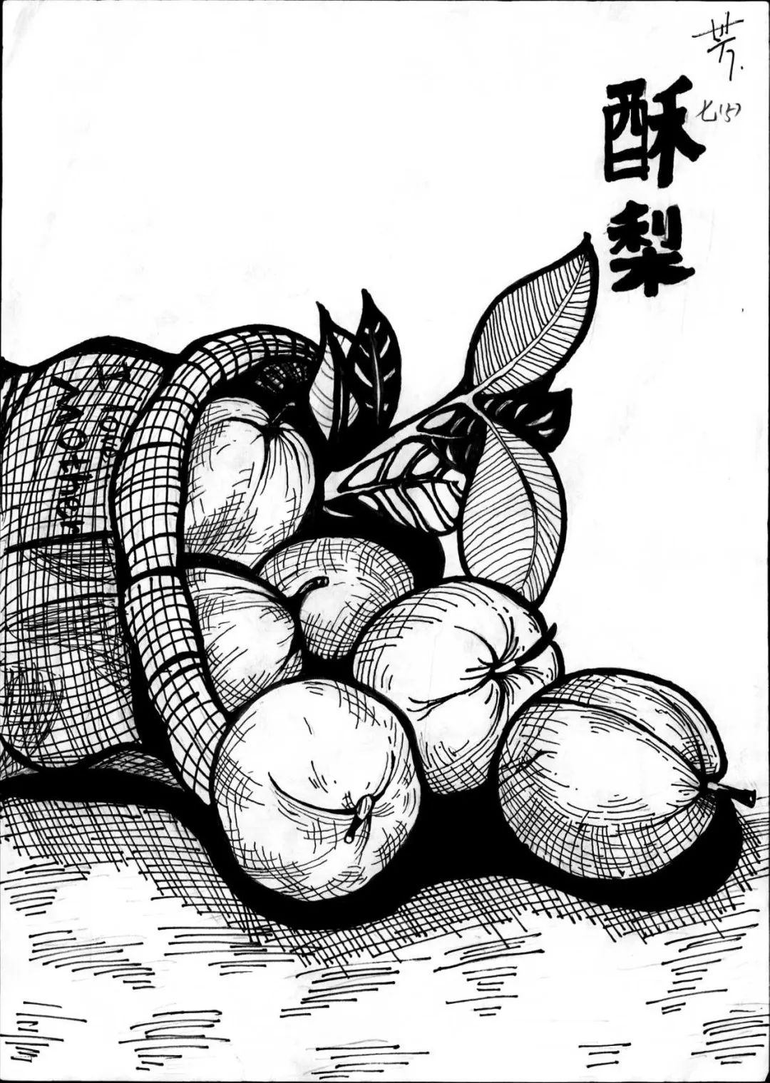 15.jpg