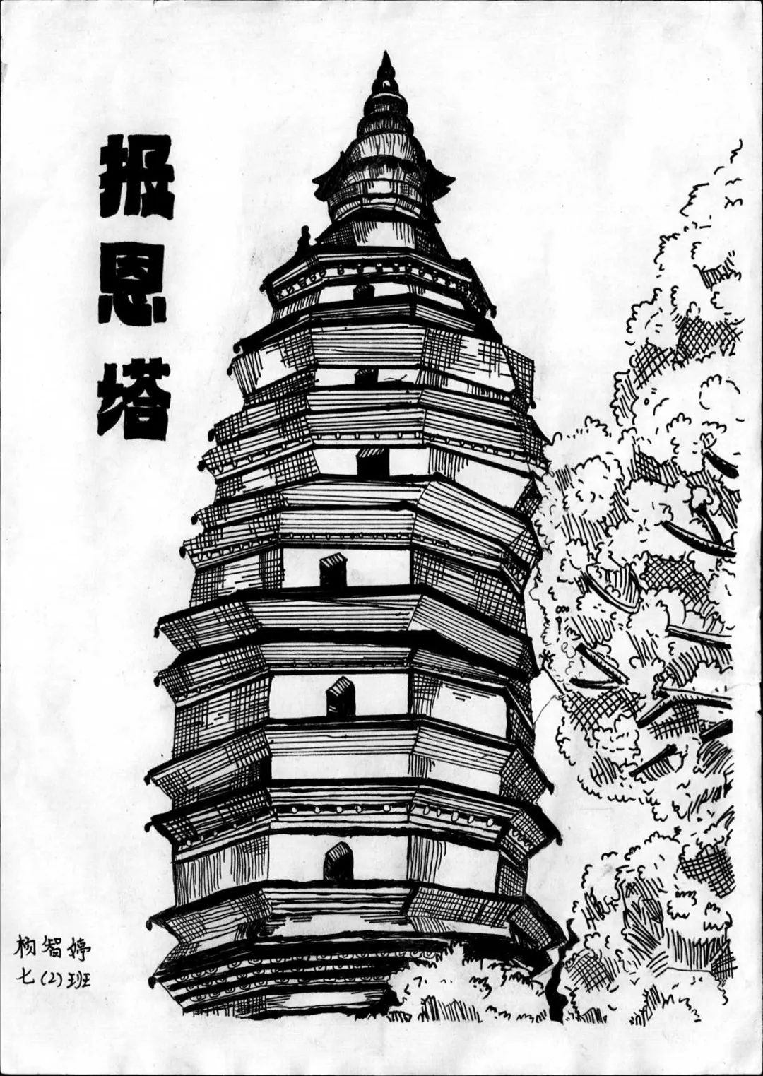 杨智婷.jpg