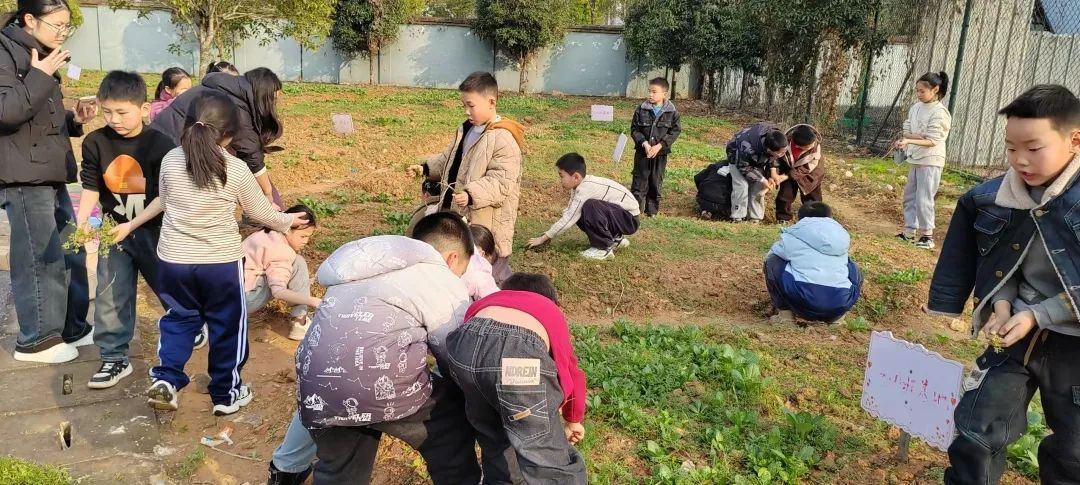 植树1.jpg