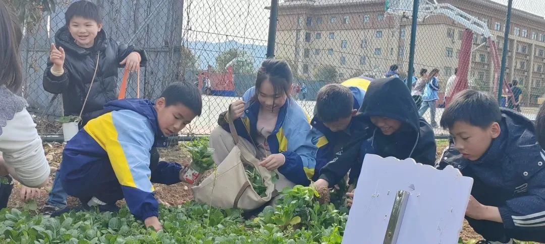 植树10.jpg