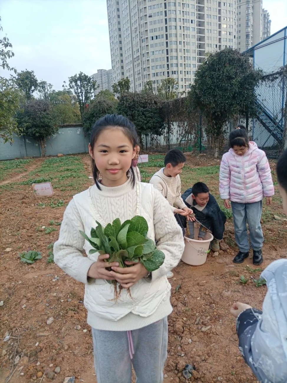 植树11.jpg