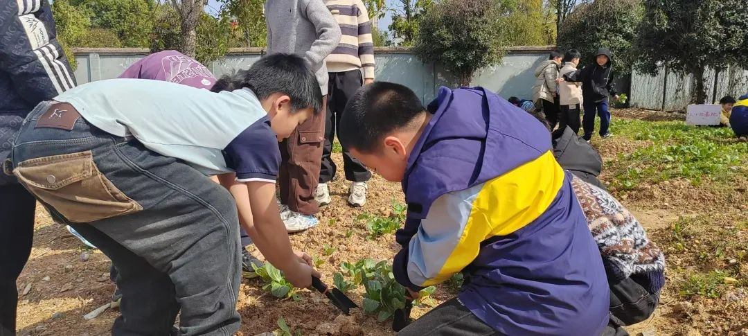 植树13.jpg