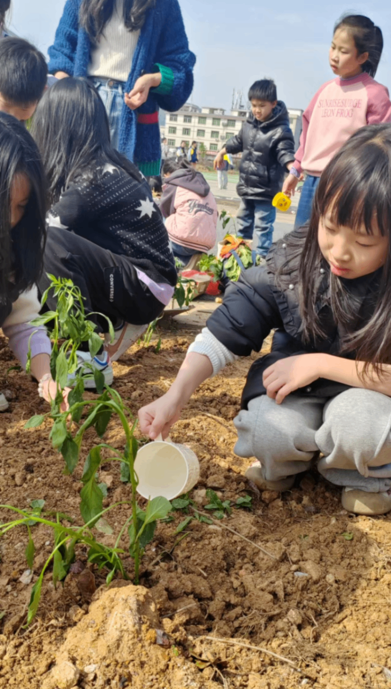 植树6.png